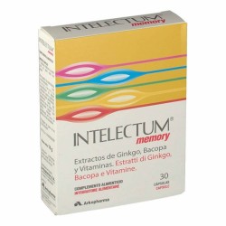 Intelectum Memory