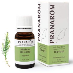 Pranarom Aceite Esencial Árbol Del Té